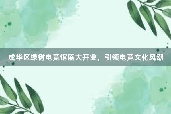 成华区绿树电竞馆盛大开业，引领电竞文化风潮